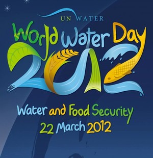 World Water Day was declared an international day in 1992 by the United Nations General Assembly and was first celebrated in 1993.