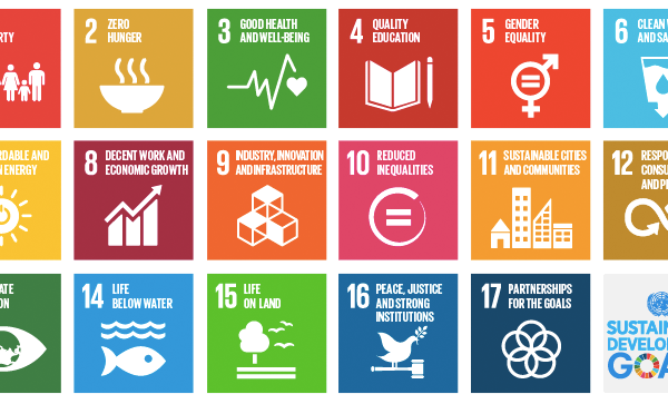 The United Nations (UN) note that to fully implement and monitor progress on the Sustainable Development Goals (SDGs), decision makers need data and statistics that are accurate, timely, sufficiently disaggregated, relevant, accessible and easy to use.